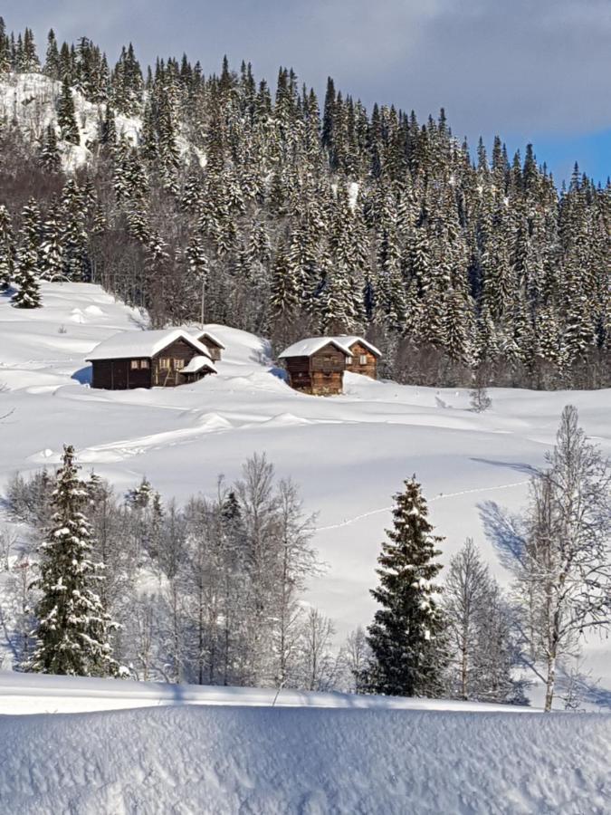 Kvambekk Gard I Amotsdal Vila Exterior foto